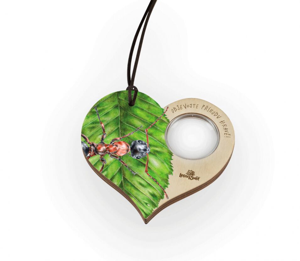 Lesní svět Lupa Lesní svět