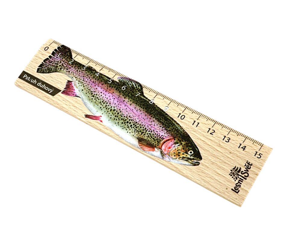 Lesní svět Dřevěné pravítko 15 cm