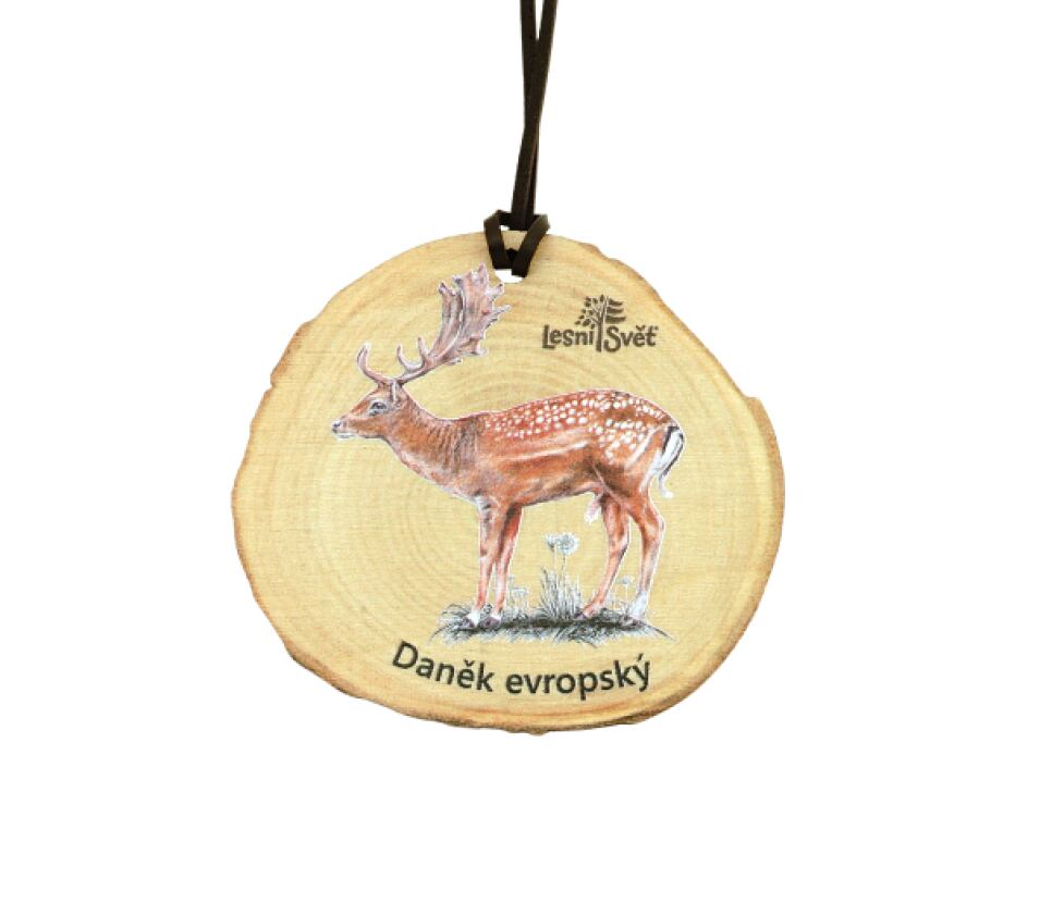 Lesní svět Dřevěná medaile letokruh