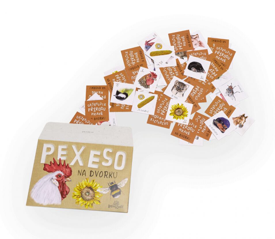 Lesní svět Papírové pexeso Lesní svět