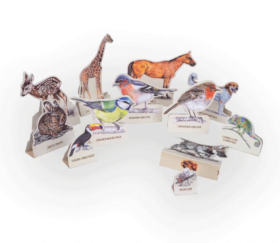 Lesní svět Vystřihovánky Lesní svět