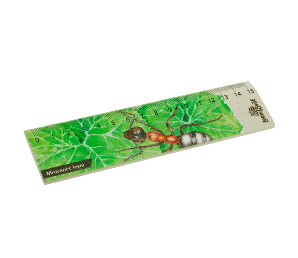 Lesní svět Dřevěné pravítko 15 cm