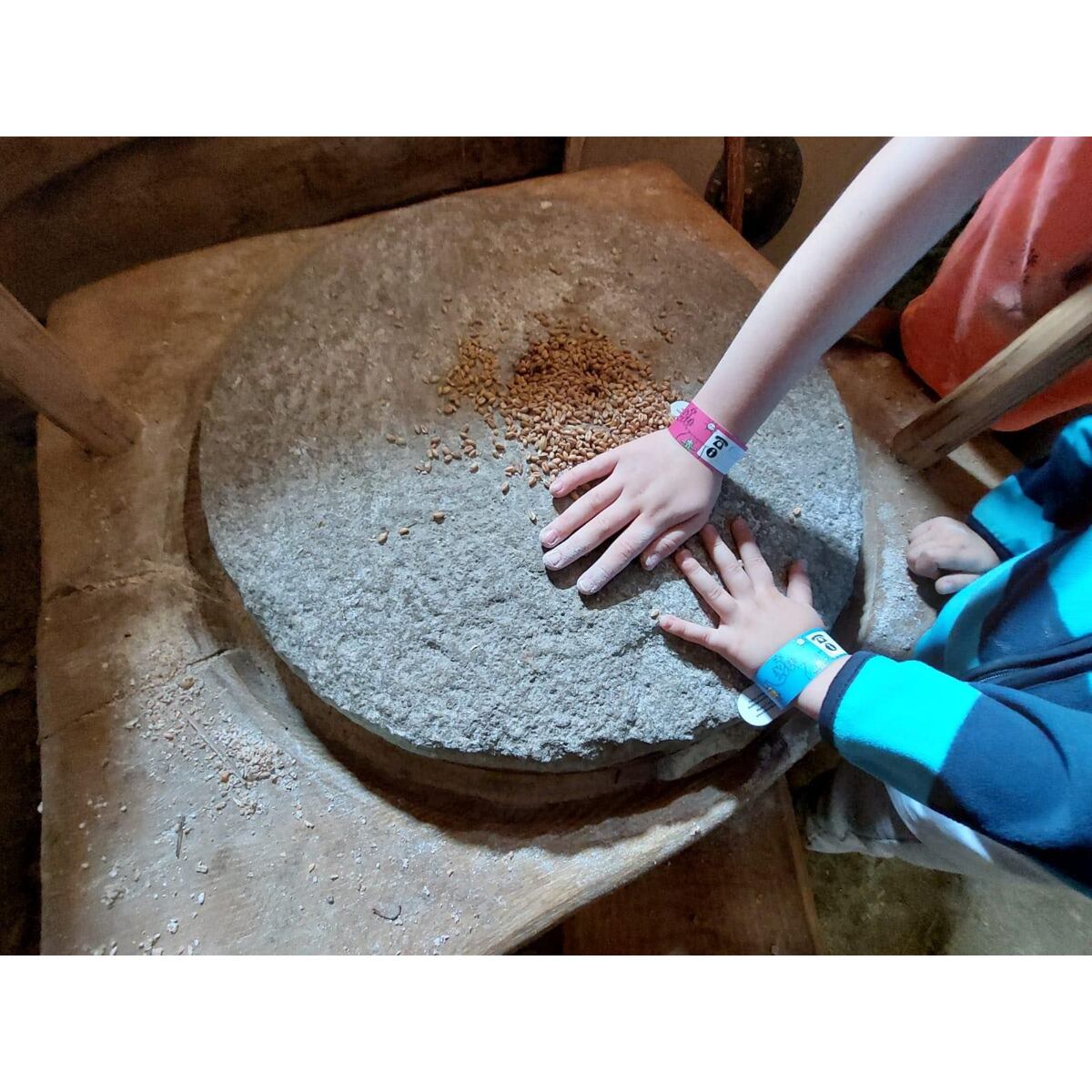 Promaledobrodruhy Dětský identifikační náramek - růžový