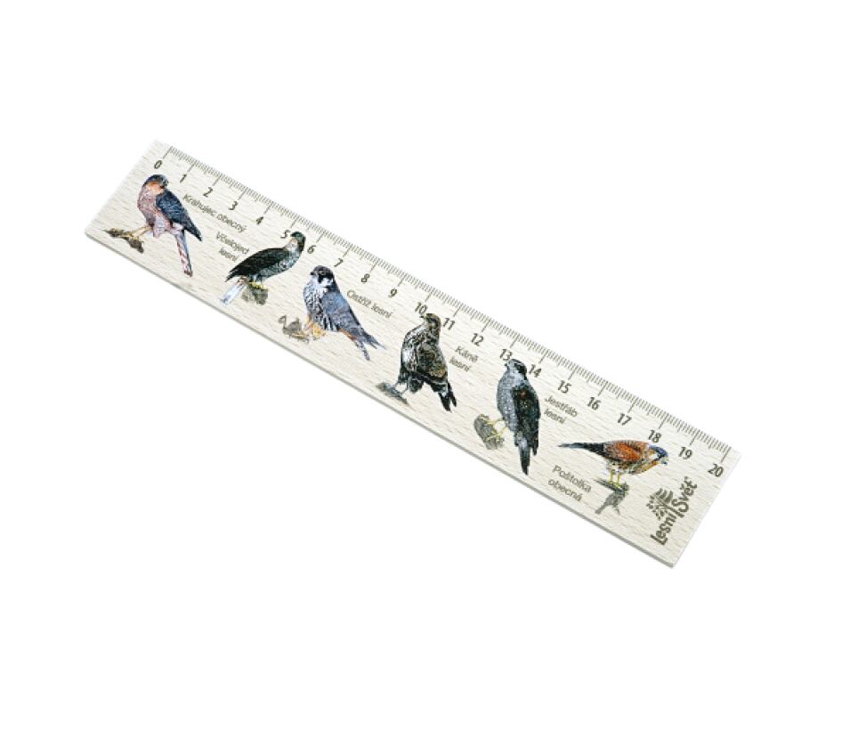 Lesní svět Dřevěné pravítko 20 cm
