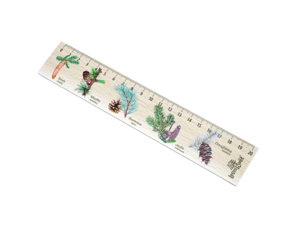 Lesní svět Dřevěné pravítko 20 cm