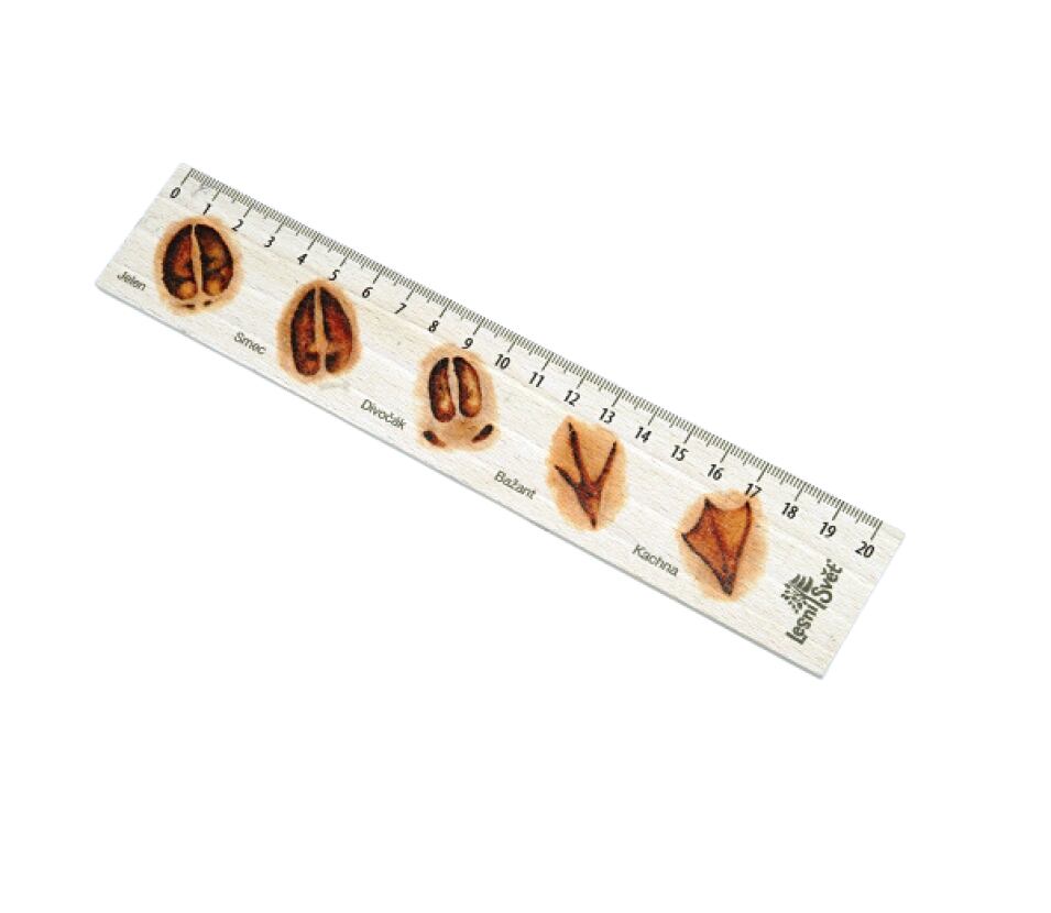 Lesní svět Dřevěné pravítko 20 cm