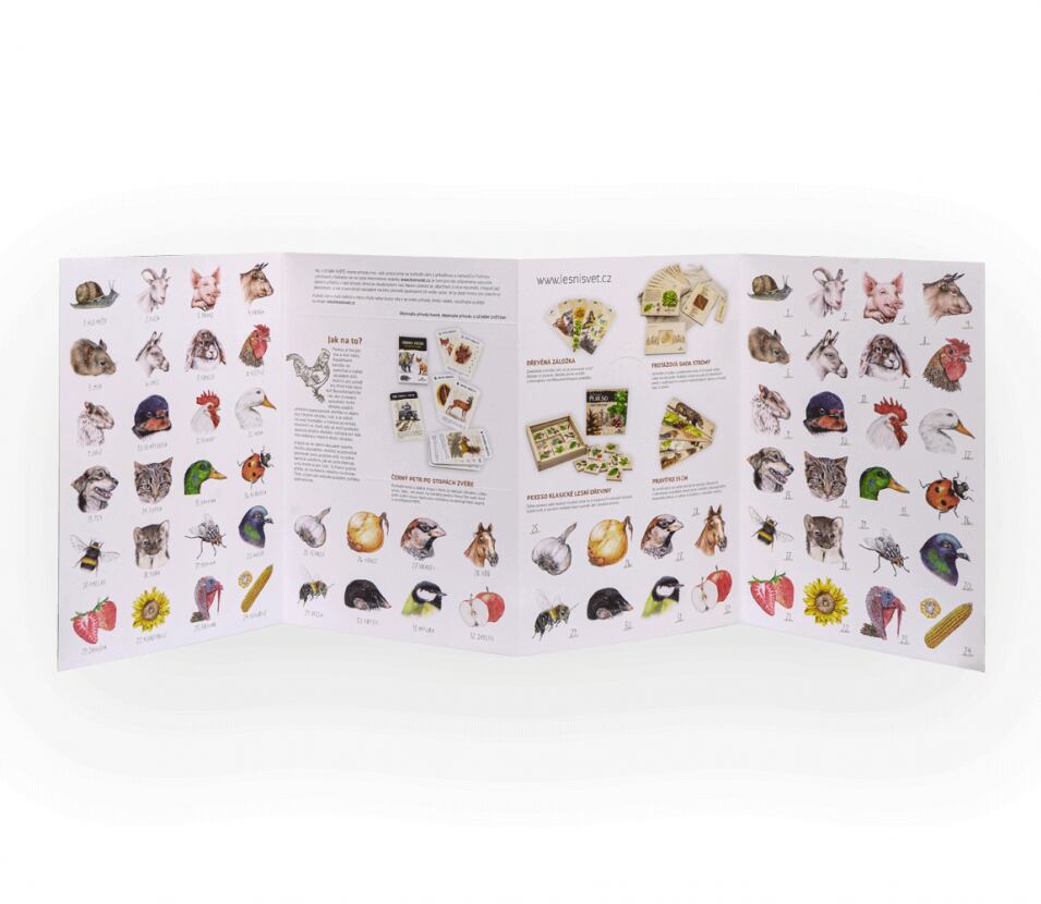 Lesní svět Papírové pexeso Lesní svět