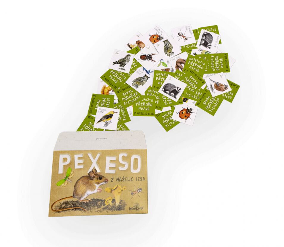 Lesní svět Papírové pexeso Lesní svět