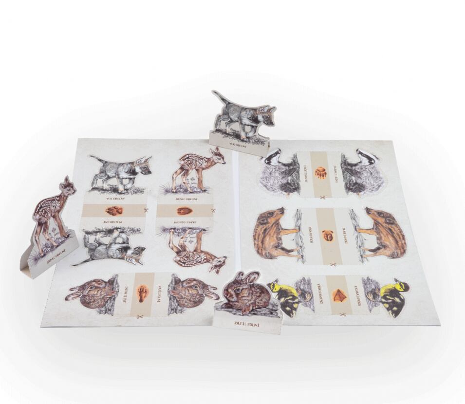 Lesní svět Vystřihovánky Lesní svět